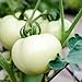 Photo Tomate ''White Beauty'' 25 x Graines 100% Naturelles sans Propagateurs Chimiques ni Génie Génétique - du Portugal examen