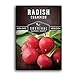 Photo Survival Garden Seeds - Champion Radish Seed for Planting - Packet with Instructions to Plant and Grow Red Radishes in Your Home Vegetable Garden - Non-GMO Heirloom Variety review