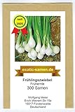 Frühlingszwiebel - Frühernte (300 Samen) Foto, neu 2024, bester Preis 1,80 € Rezension