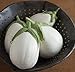 Photo David's Garden Seeds Eggplant Paloma (White) 25 Non-GMO, Hybrid Seeds review