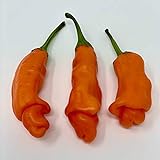 Wayland Chiles Peter Pepper Seeds (Red) Photo, new 2024, best price $4.00 review