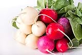 Easter Egg Radish Seeds Photo, new 2024, best price $4.49 review