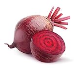 Bull's Blood Beet Seeds, 100 Heirloom Seeds Per Packet, Non GMO Seeds, Botanical Name: Beta vulgaris, Isla's Garden Seeds Photo, new 2024, best price $5.79 ($0.06 / Count) review
