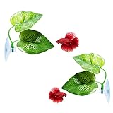 2 Pack Betta Fish Leaf Pad Cousduobe Improves Betta's Health by Simulating The Natural Habitat - Natural, Organic, Comfortable Rest Area for Fish Aquarium Photo, new 2024, best price $6.98 review