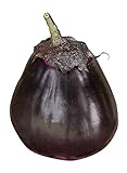 Burpee Meatball Eggplant Seeds 35 seeds Photo, new 2024, best price $9.61 review