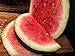 Photo Bradford Watermelon Seed Packet Super Sweet Southern Heirloom review