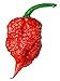 Photo Carolina Reaper Seeds - 400 Carolina Reaper Seeds for Planting - Hottest Pepper Seeds - Hottest Chili Pepper in The World - Organic, Non - GMO Carolina Reaper Plant Seeds review