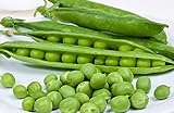 25 Cascadia Pea Seeds | Non-GMO | Heirloom | Fresh Garden Seeds Photo, new 2024, best price $5.95 review