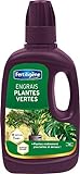 Fertiligène Engrais Plantes Vertes, 400 ML Photo, nouveau 2024, meilleur prix 5,90 € (14,75 € / l) examen