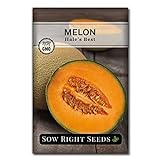 Sow Right Seeds - Hales Best Melon Seed for Planting  - Non-GMO Heirloom Packet with Instructions to Plant a Home Vegetable Garden Photo, new 2024, best price $4.99 review