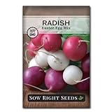 Sow Right Seeds - Easter Egg Radish Seed for Planting - Non-GMO Heirloom Packet with Instructions to Plant and Grow an Indoor or Outdoor Home Vegetable Garden - Easy to Grow - Great Gardening Gift Photo, new 2024, best price $4.99 review