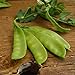 Photo Oregon Sugar Pod II Snow Pea - 50 Seeds - Heirloom & Open-Pollinated Variety, Easy-to-Grow & Cold-Tolerant, Non-GMO Vegetable Seeds for Planting Outdoors in The Home Garden, Thresh Seed Company review