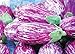 Photo 200 Pcs Eggplant Seeds Striped Long Heirloom Vegetable Seed review