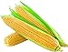 Photo David's Garden Seeds Corn Super Sweet GSS1170 (Yellow) 100 Non-GMO, Hybrid Seeds review