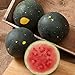 Photo David's Garden Seeds Fruit Watermelon Moon & Stars 5547 (Red) 50 Non-GMO, Heirloom Seeds review