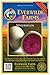 Photo Everwilde Farms - 300 Watermelon Radish Seeds - Gold Vault Jumbo Seed Packet review