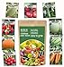 Photo Heirloom Vegetable Seeds -9 Variety - Non GMO Vegetable Seeds for Planting Indoor or Outdoors, Tomato, Carrots, Cantaloupe, Cucumber, Green Honeydew Melon, Pumpkin, Watermelon, Cherry Belle Radish, S review