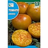 Semillas de Tomate ananas Foto, nuevo 2024, mejor precio 1,62 € revisión