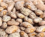 Pinto Beans Seeds, the Most Common Bean in the US 100 Seeds Heirloom ! Photo, new 2024, best price $4.20 ($0.04 / Count) review