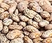 Photo Pinto Beans Seeds, the Most Common Bean in the US 100 Seeds Heirloom ! review