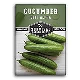 Survival Garden Seeds - Beit Alpha Cucumber Seed for Planting - Pack with Instructions to Plant and Grow Smooth Green Burpless Cucumbers in Your Home Vegetable Garden - Non-GMO Heirloom Variety Photo, new 2024, best price $4.99 review