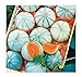 Photo David's Garden Seeds Fruit Melon Savor (Orange) 25 Non-GMO, Hybrid Seeds review