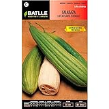 ScoutSeed Batlle semillas de hortalizas - calabaza Luffa (semillas) Foto, nuevo 2024, mejor precio 9,92 € revisión