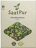 SaatPur Thai-Basilikum Samen für ca. 150 Pflanzen Foto, neu 2024, bester Preis 3,99 € Rezension