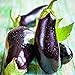 Photo Eggplant Seed, Black Beauty, Heirloom, Non GMO, 50 Seeds, Vegetable review