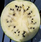 Cream of Saskatchewan Heirloom Watermelon (Certified Organic Seeds) by Stonysoil Seed Company Photo, new 2024, best price $7.95 review