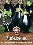 80667 Sperli Premium Aubergine Samen Galine | Frühe Sorte | Ertragreich | Aubergine Saatgut | Auberginen Samen Foto, neu 2024, bester Preis 3,38 € Rezension