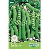 Germisem Telephone Semillas de Guisantes 100 g Foto, nuevo 2024, mejor precio 3,43 € revisión