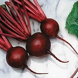 Beet Seeds - Kestrel Variety Seeds - Untreated - Variety Seeds - Non-GMO - 250 Seeds Photo, new 2024, best price $4.99 ($0.02 / Count) review