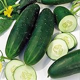 Cucumber, Straight Eight Cucumber Seeds, Heirloom, 25 Seeds, Great for Salads/Snack Photo, new 2024, best price $1.99 ($0.08 / Count) review