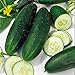 Photo Cucumber, Straight Eight Cucumber Seeds, Heirloom, 25 Seeds, Great for Salads/Snack review