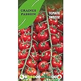 Graines passion sachet de graines Tomate Sweetie Photo, nouveau 2024, meilleur prix 4,80 € (4 800,00 € / kg) examen