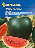 Melonen Wassermelone Red Star F1 Foto, neu 2024, bester Preis 5,24 € (5,24 € / Stück) Rezension