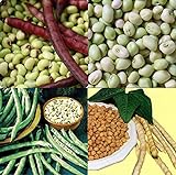 David's Garden Seeds Collection Set Southern Pea (Cowpea) 3333 (Multi) 4 Varieties 400 Non-GMO, Open Pollinated Seeds Photo, new 2024, best price $16.95 ($4.24 / Count) review