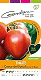 Gondian 154250 Semences-Tomate Coeur de Boeuf (Cuor Di Bue) -CP 2, Rouge, 1x8.1x16 cm Photo, nouveau 2024, meilleur prix 3,78 € examen