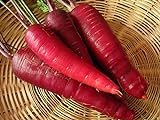 200+ Carrot Seeds- Cosmic Purple Photo, new 2024, best price $4.39 review