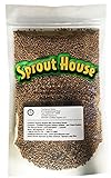 The Sprout House Certified Organic Non-GMO Sprouting Seeds Radish Mix Daikon Radish, and/or Triton Radish (Purple Stems/Green Leaves) and/or China Red Radish 1 Pound Photo, new 2024, best price $16.05 ($1.00 / Ounce) review