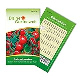 Balkontomaten Balkonzauber Samen - Solanum lycopersicum - Balkontomatensamen - Gemüsesamen - Saatgut für 15 Pflanzen Foto, neu 2024, bester Preis 1,99 € (0,13 € / stück) Rezension
