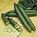 Photo Cucumber, Long Green Improved Seeds, Non-GMO, 25 Seeds per Package,Long Green Improved Cucumber is a Strong, Vigorous Producer . Jacobs Ladder Ent. review