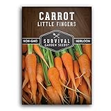 Survival Garden Seeds - Little Fingers Carrot Seed for Planting - Packet with Instructions to Plant and Grow Delicious Baby Carrots in Your Home Vegetable Garden - Non-GMO Heirloom Variety - 1 Pack Photo, new 2024, best price $4.99 review
