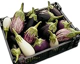 Eggplant Garden Blend 325 Eggplant Seeds +1 Plant Marker - Excellent Varieties Photo, new 2024, best price $5.00 review