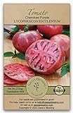Gaea's Blessing Seeds - Tomato Seeds - Cherokee Purple Slicing Tomato - Non-GMO Seeds with Easy to Follow Planting Instructions - Open-Pollinated 96% Germination Rate Photo, new 2024, best price $6.99 review