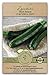 Photo Gaea's Blessing Seeds - Zucchini Seeds - Non-GMO - with Easy to Follow Planting Instructions - Heirloom Black Beauty Summer Squash 97% Germination Rate review