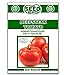 Photo Beefsteak Tomato Seeds - 250 Seeds Non-GMO review
