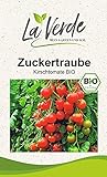Zuckertraube BIO Tomatensamen Foto, neu 2024, bester Preis 3,25 € Rezension