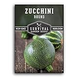 Survival Garden Seeds - Round Zucchini Seed for Planting - Pack with Instructions to Plant and Grow Small Green Zucchinis in Your Home Vegetable Garden - Non-GMO Heirloom Variety Photo, new 2024, best price $4.99 review